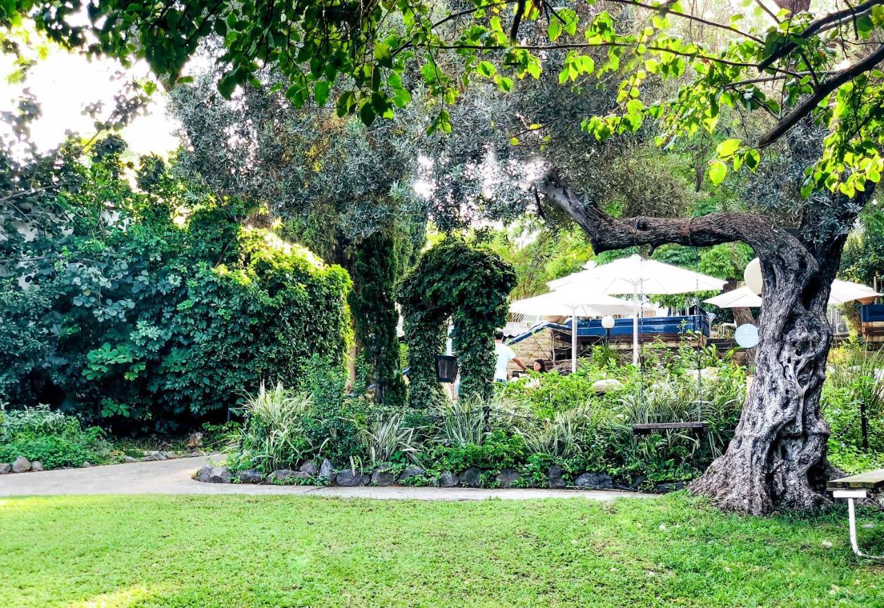 Travel Hotel Gesher Haziv Exterior photo